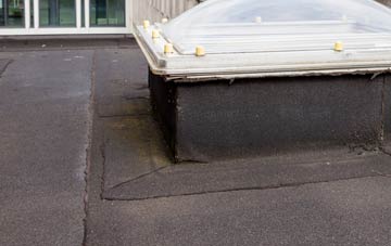 disadvantages of Mynachlog Ddu flat roofs
