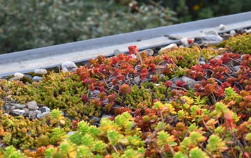 the cost of Mynachlog Ddu green roof installation