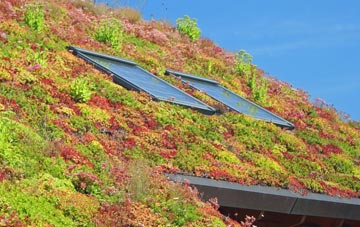 Mynachlog Ddu living roof systems