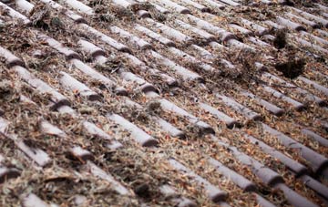 Mynachlog Ddu roof cleaning companies