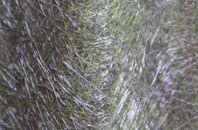 Mynachlog Ddu fibreglass roof work